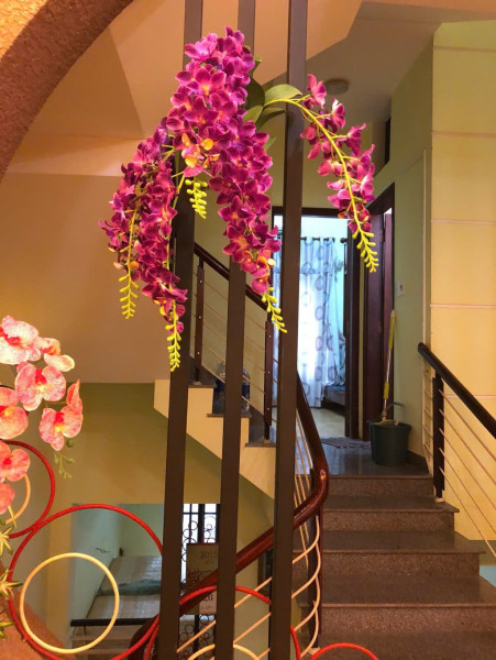 CHÍNH CHỦ BÁN NHÀ MT LÊ TẤN TOÁN – SƠN TRÀ, ĐÀ NẴNG