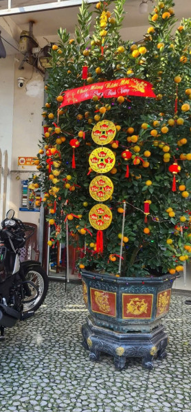 Bán Đất tặng nhà 2 tầng đường LÊ VĂN HIẾN,Ngũ Hành Sơn, Đà Nẵng.