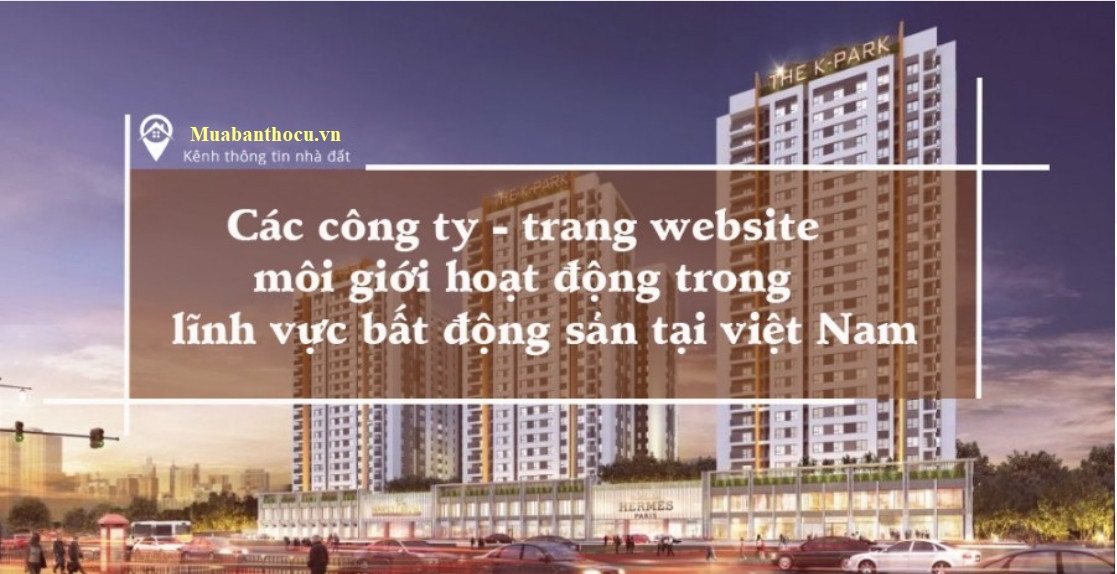 Các công ty - trang website môi giới hoạt động trong lĩnh vực bất động sản tại việt Nam
